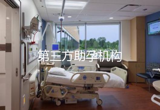 第三方助孕机构