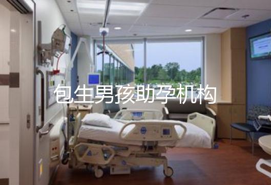 包生男孩助孕机构