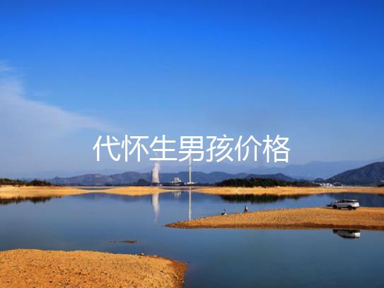 代怀生男孩价格